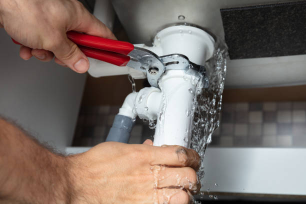 Best Ceiling water damage repair  in Cape Coral, FL