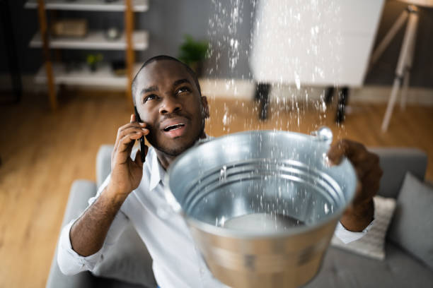 Best Sewage cleanup and water damage restoration  in Cape Coral, FL