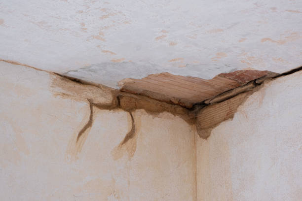Best Emergency water damage restoration  in Cape Coral, FL