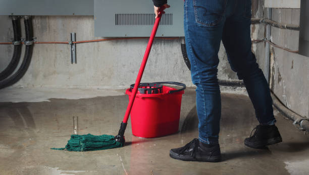 Best Water damage contractors near me  in Cape Coral, FL