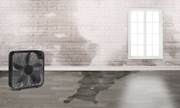 Best 24/7 water damage repair  in Cape Coral, FL