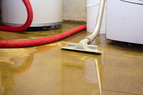  Cape Coral, FL Water damage restoration Pros
