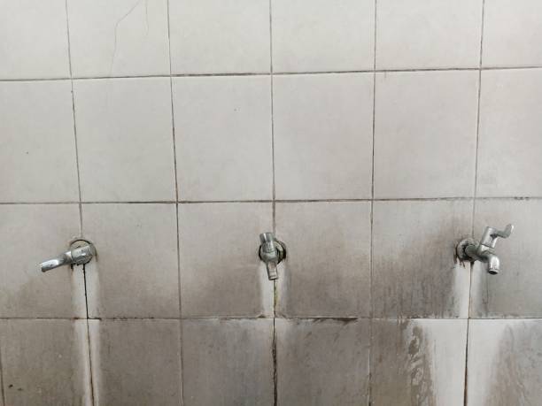 Best 24-hour water damage restoration  in Cape Coral, FL