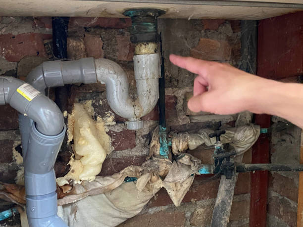 Best Mold removal after water damage  in Cape Coral, FL